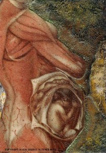 anatomy-of-motherhood