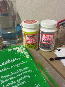 The second set of journal pages Katie did. These used Mod Podge brush stroke and extreme glitter.